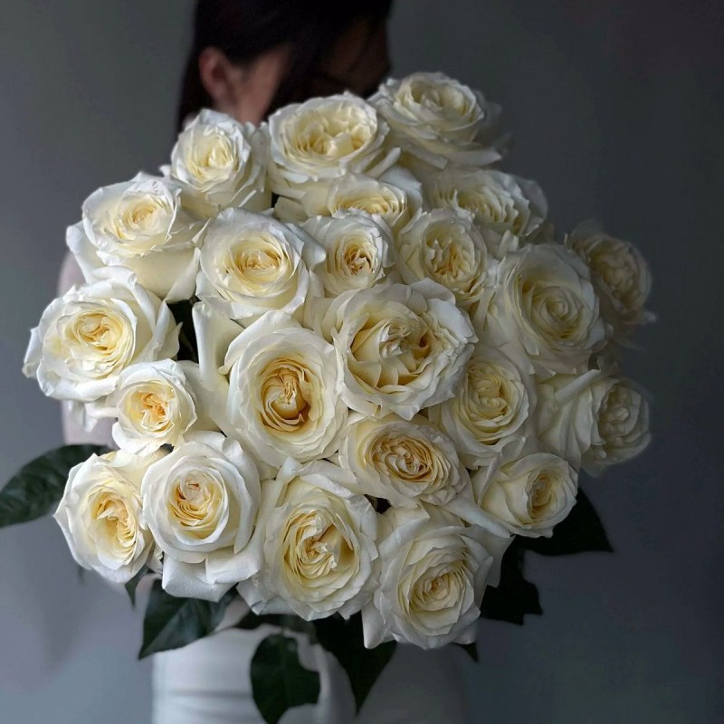 Эквадорская роза Кишинев