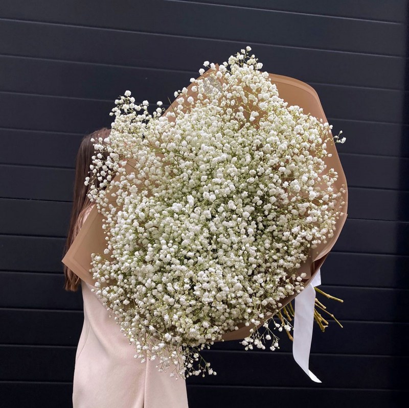 Гипсофила Кишинев