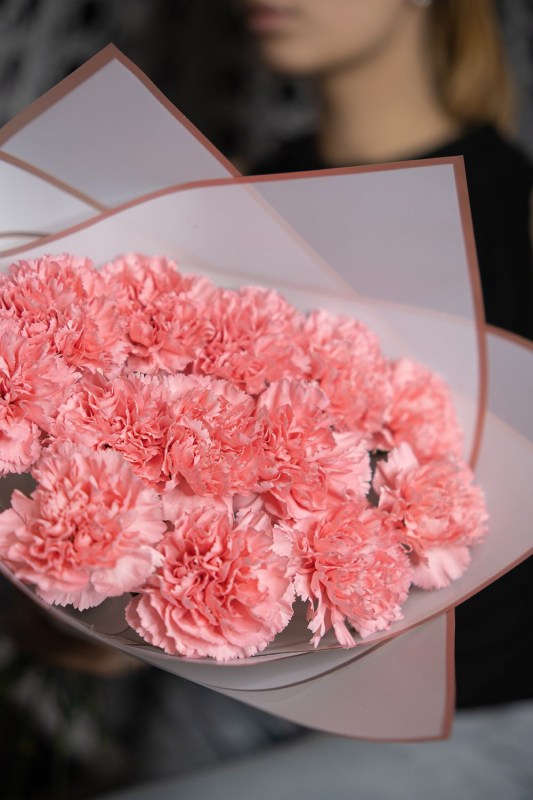 Розовые гвоздики в Кишиневе