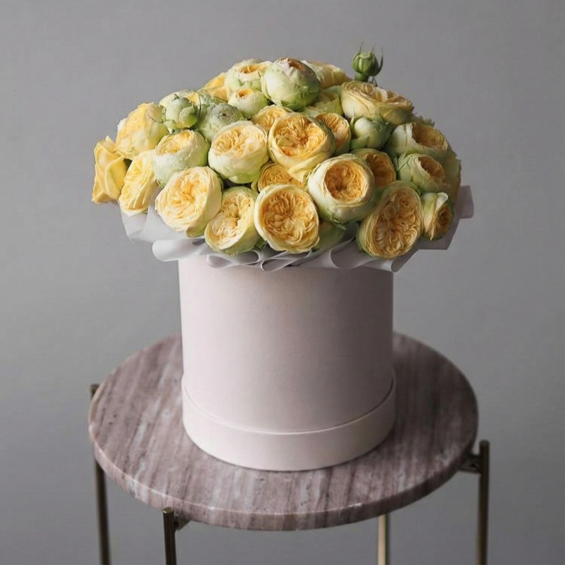 Нет заданного изображения 