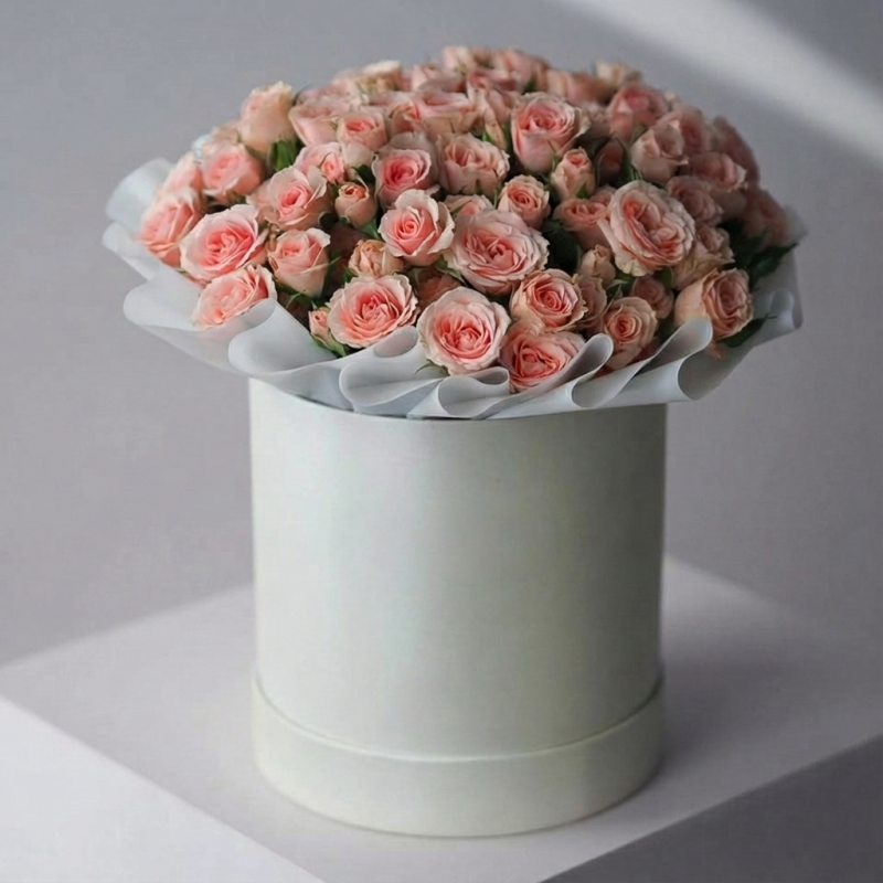 Gemini_Generated_Image_9mwbq29mwbq29mwb