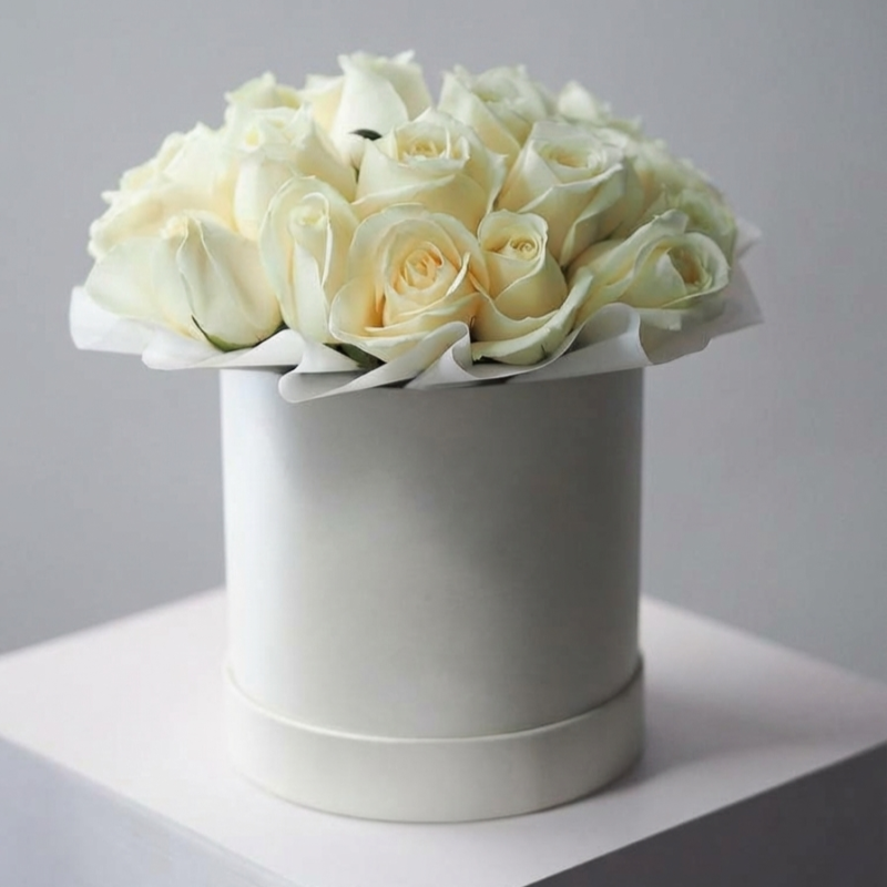 Нет заданного изображения 