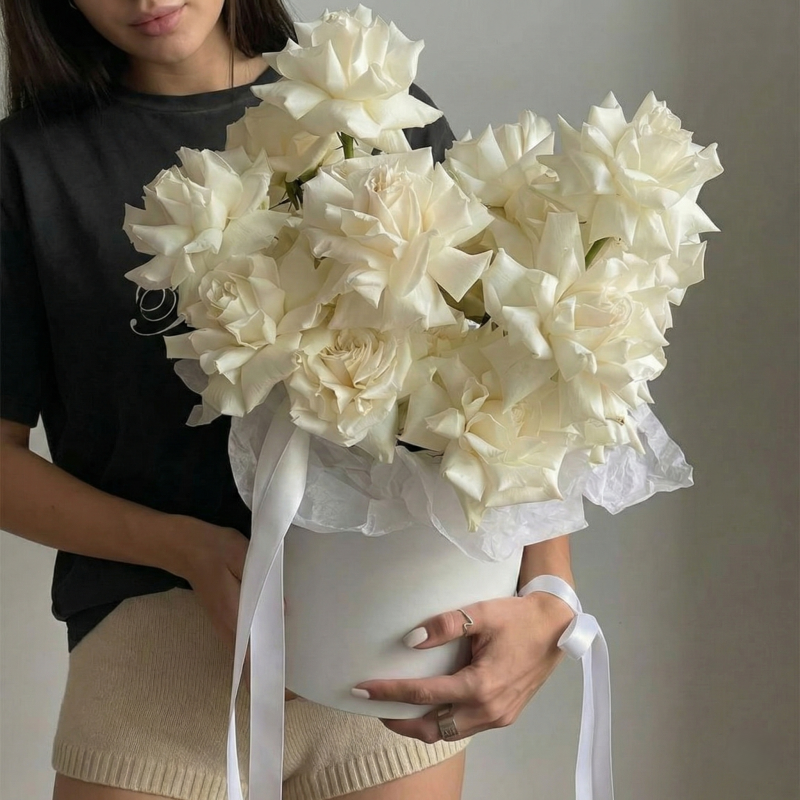 Gemini_Generated_Image_t9s1vqt9s1vqt9s1