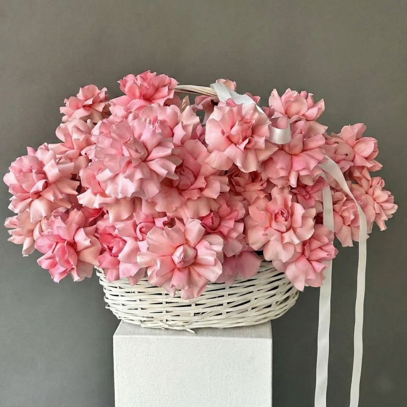 Gemini_Generated_Image_x35c4gx35c4gx35c87