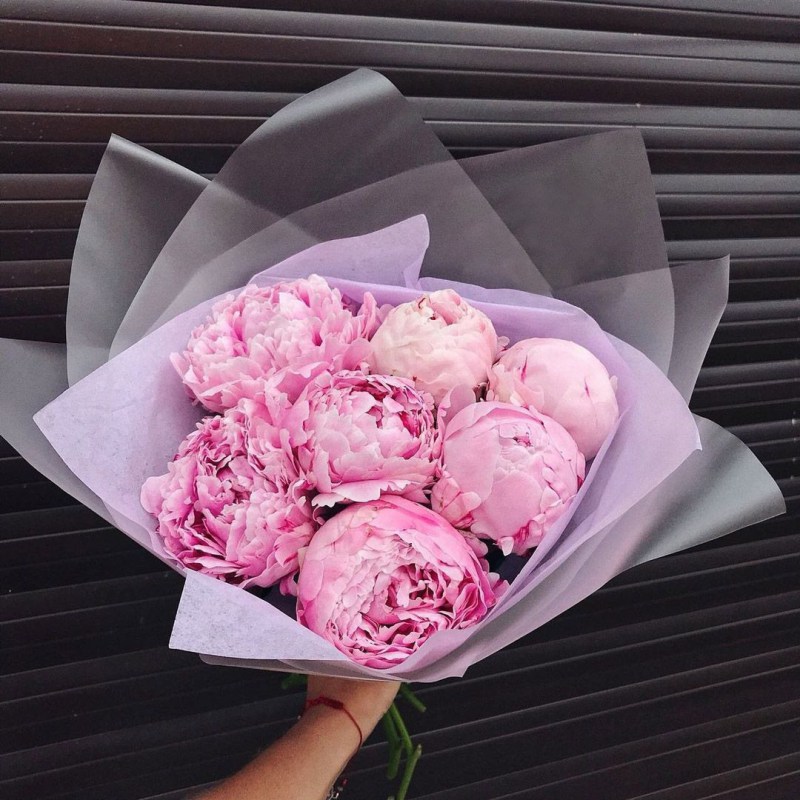 Пионы в Кишиневе