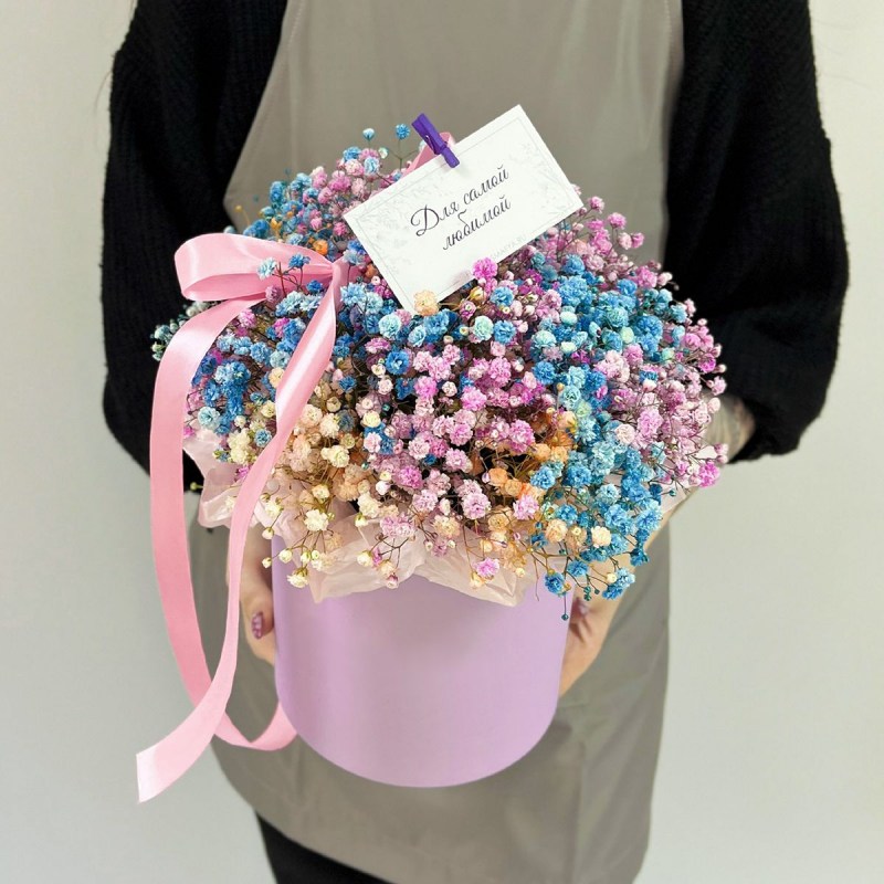 Гипсофила Кишинев