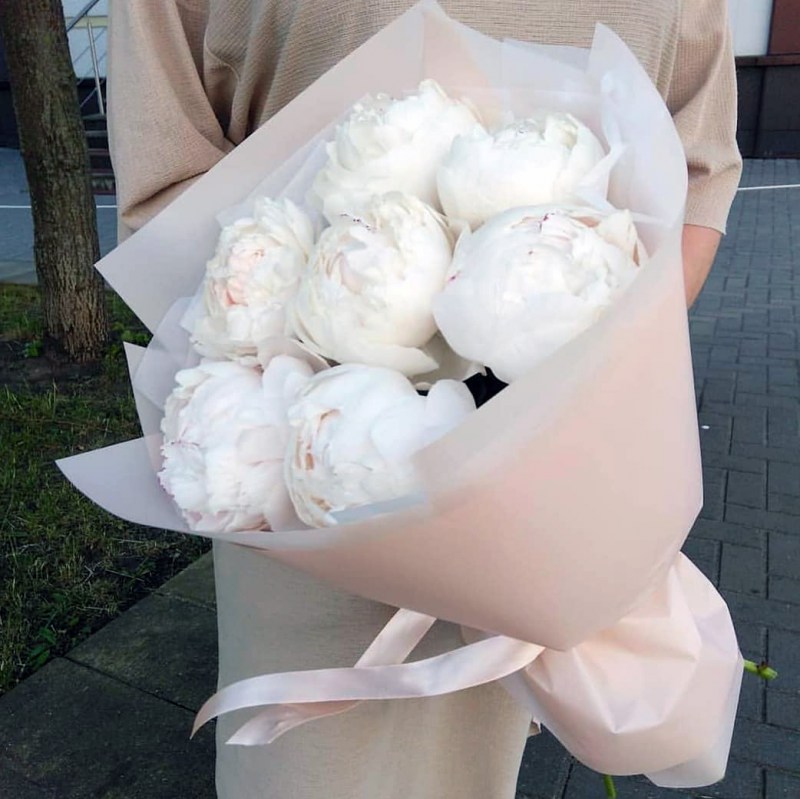 Пионы Кишинев