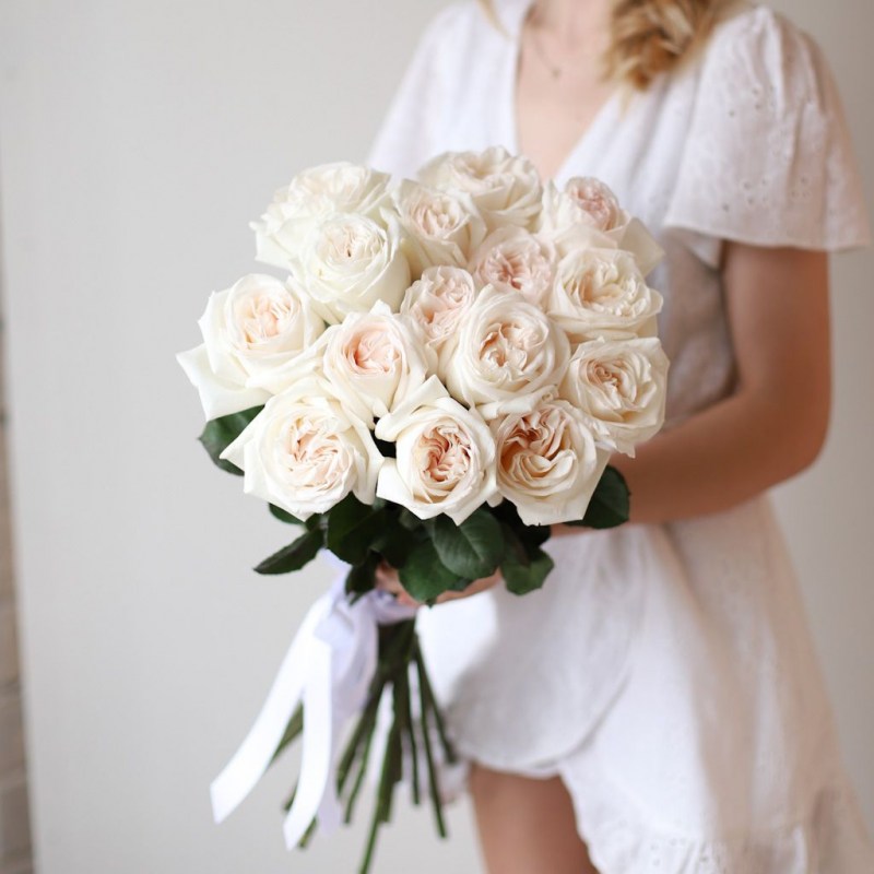 Роза пионовидная Кишинев