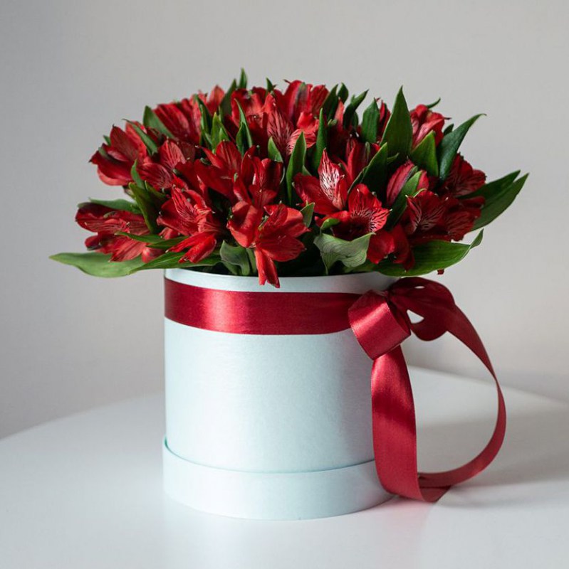 alstromeria-in-box-blue99