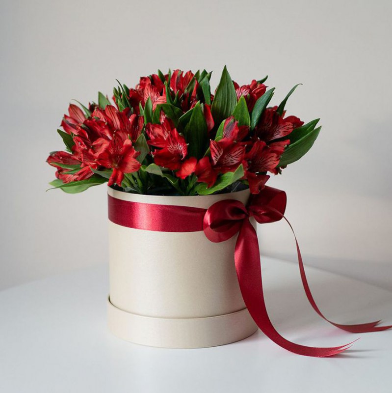 alstromeria-in-box-pesok24