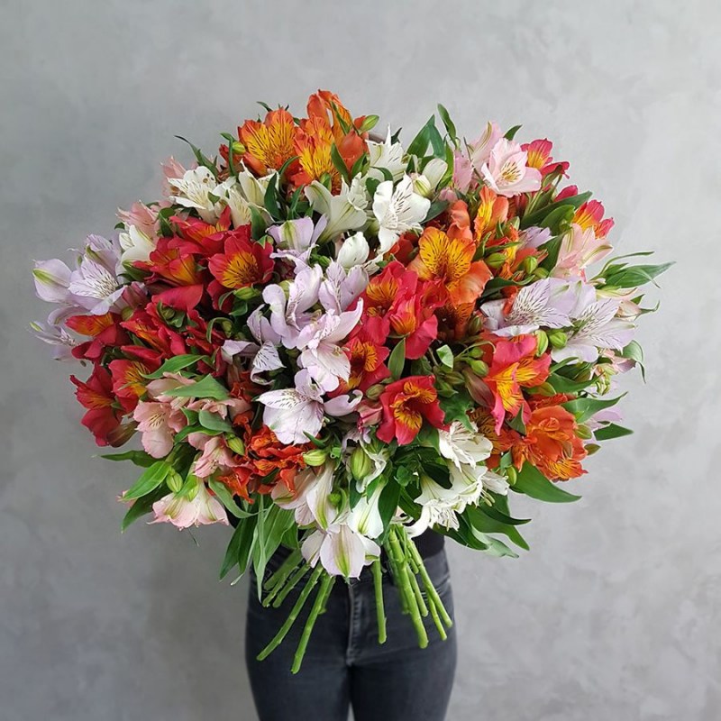 alstromeria-mix1