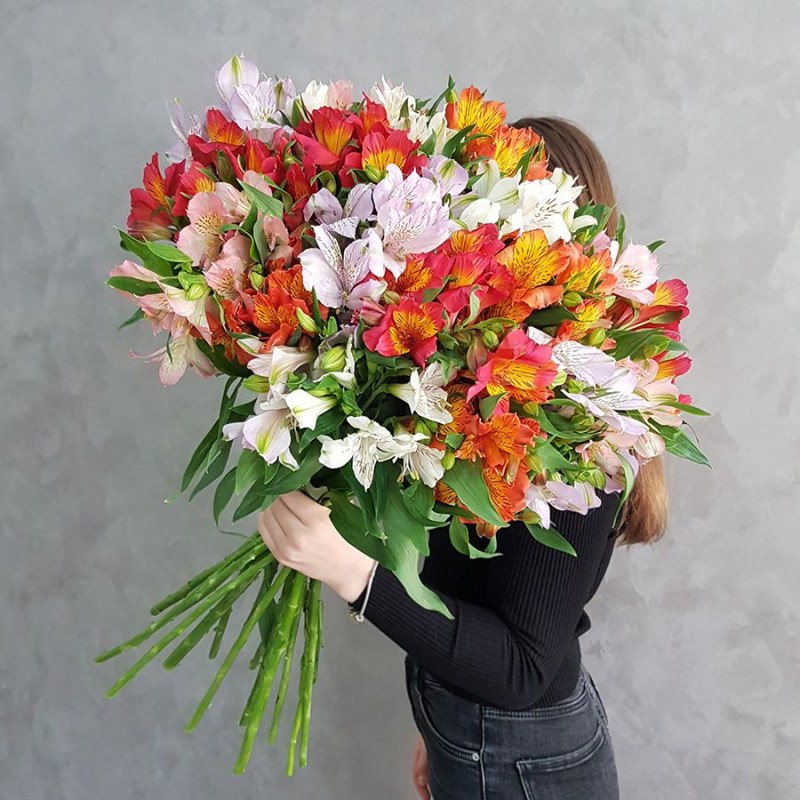 Альстромерия Кишинев