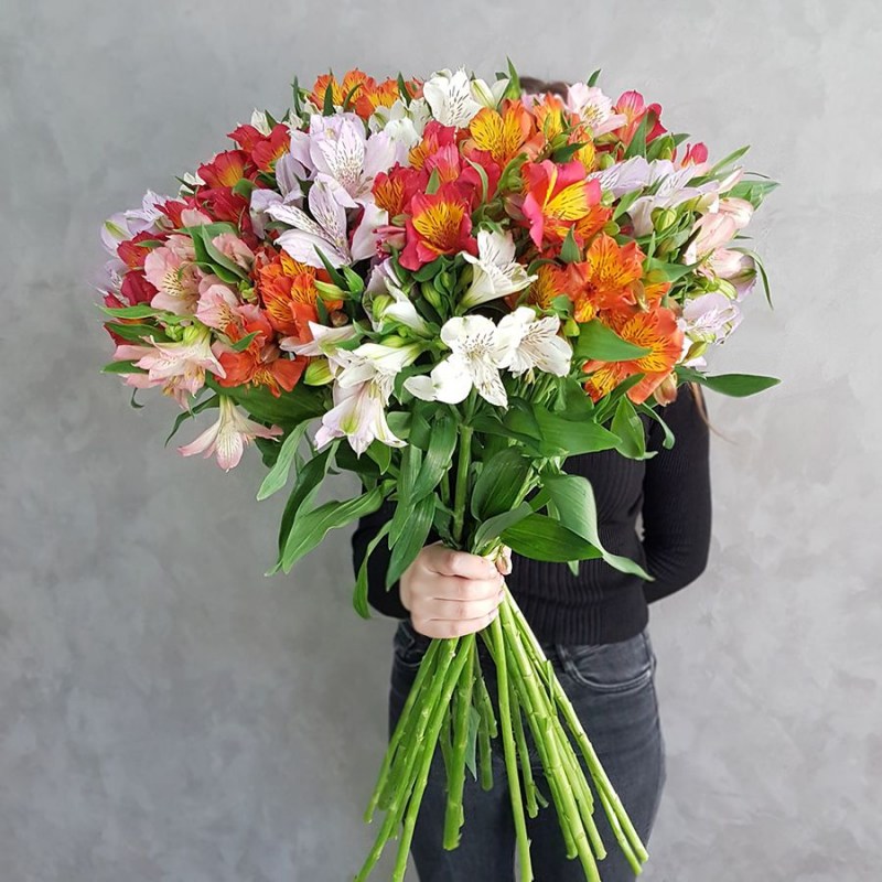 alstromeria-mix