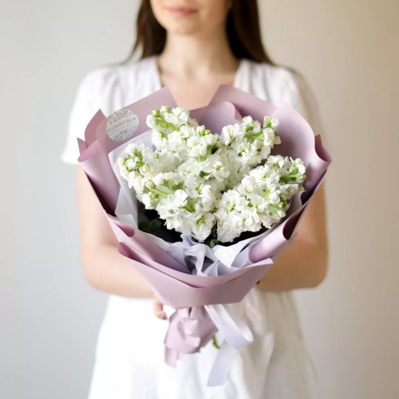 Маттиола в Кишиневе