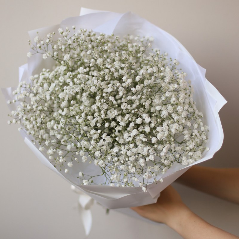 belaya-gipsofila-v-vozdushnom-belom-oformlenii-№1410-1