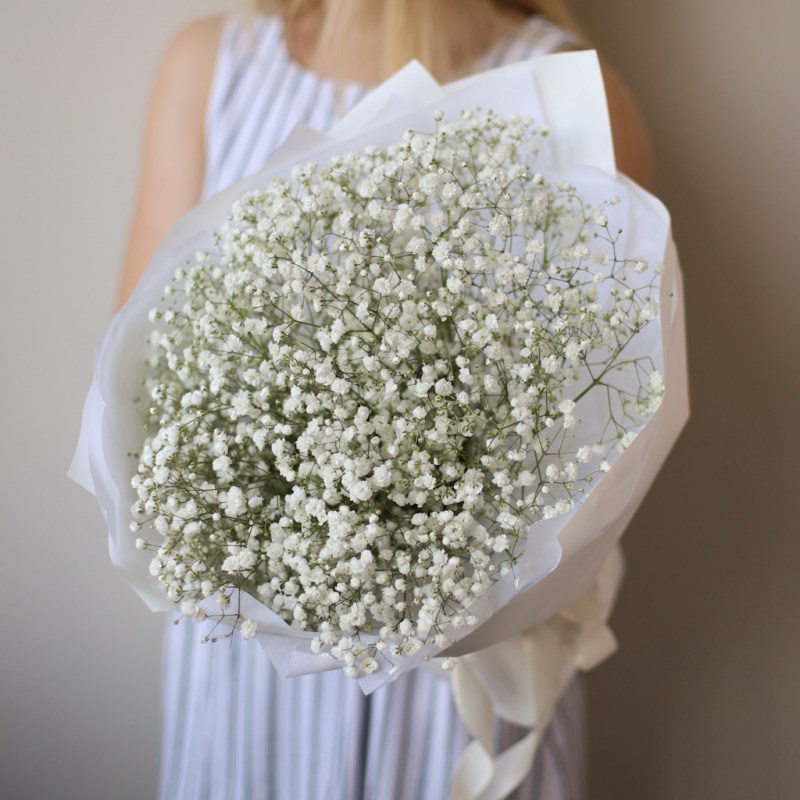 гипсофила белая Кишинев