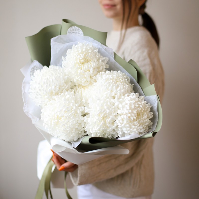 Шаровидная белая хризантема