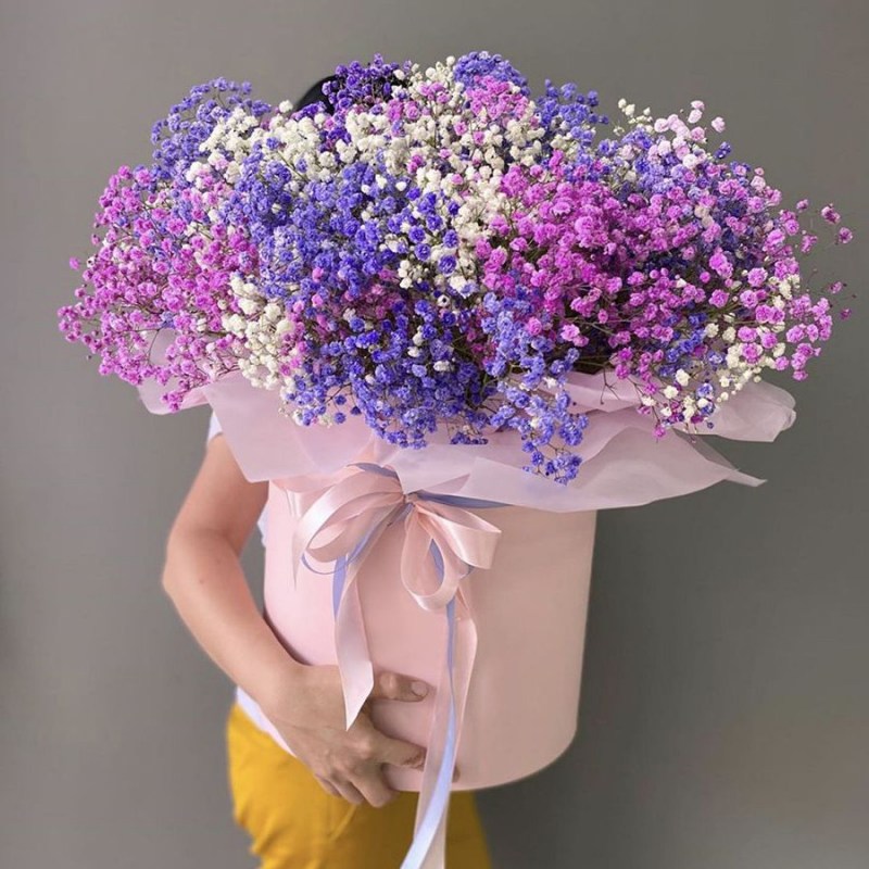 Купить гипсофилу в Кишиневе