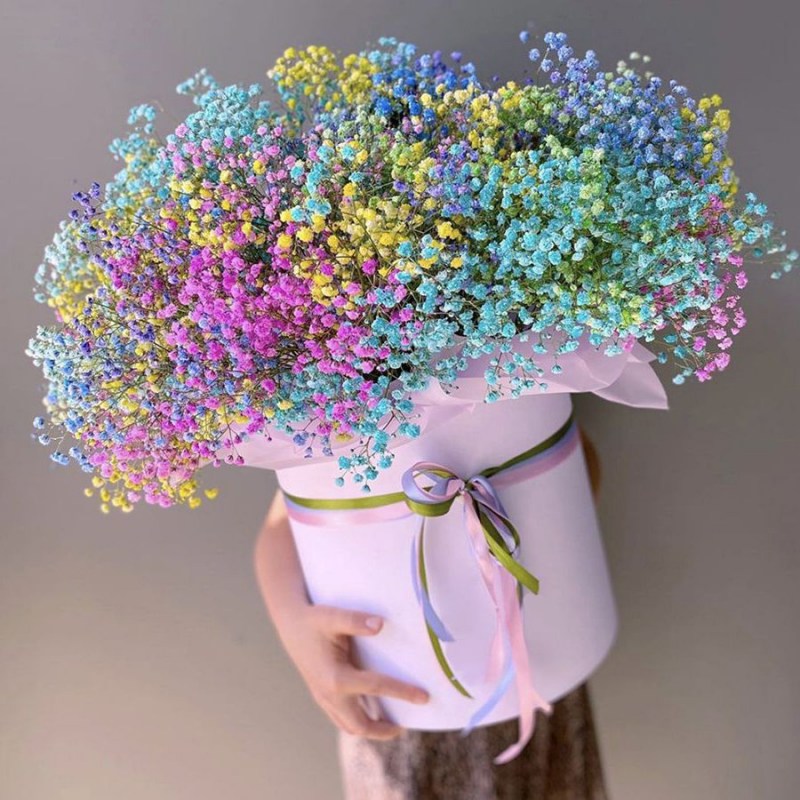 Гипсофила в коробке в Кишиневе