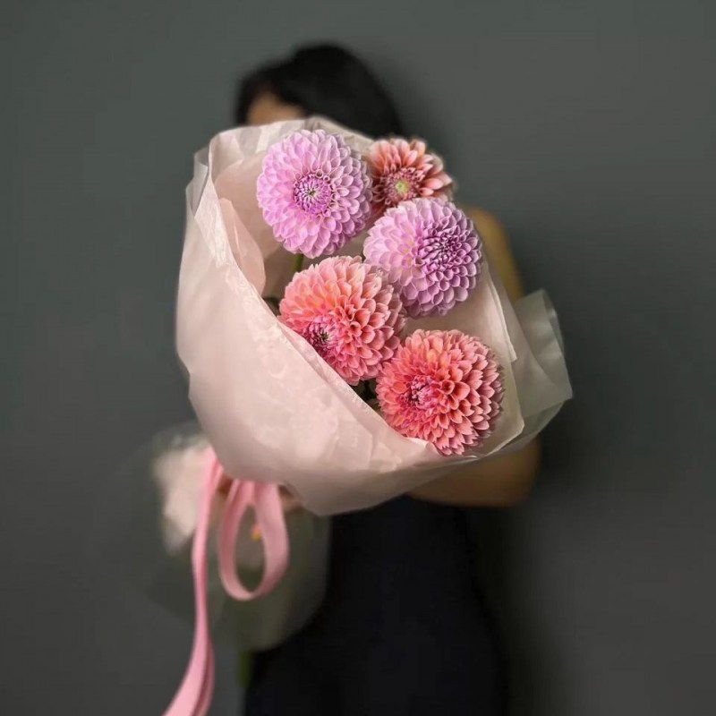 Георгины Кишинев