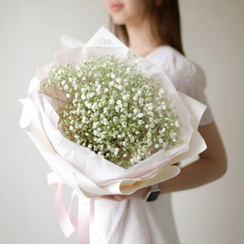 Белая гипсофила Кишинев