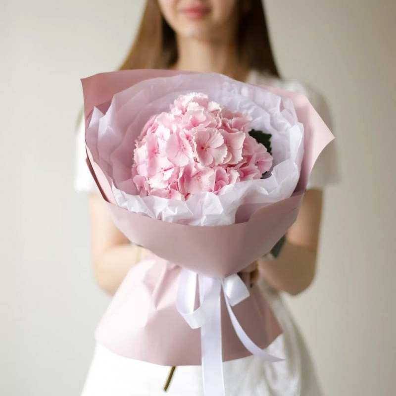 gortenziya-rozovaya-v-nezhnom-oformlenii-№1683