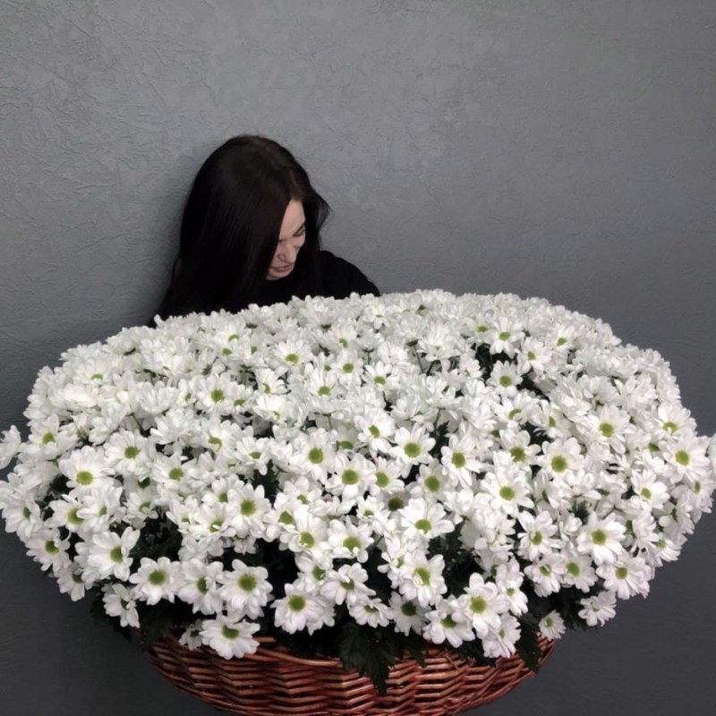 большая корзина хризантем