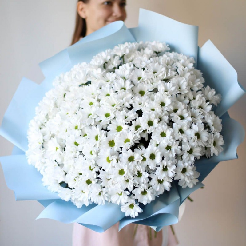 Crizanteme la Chișinău