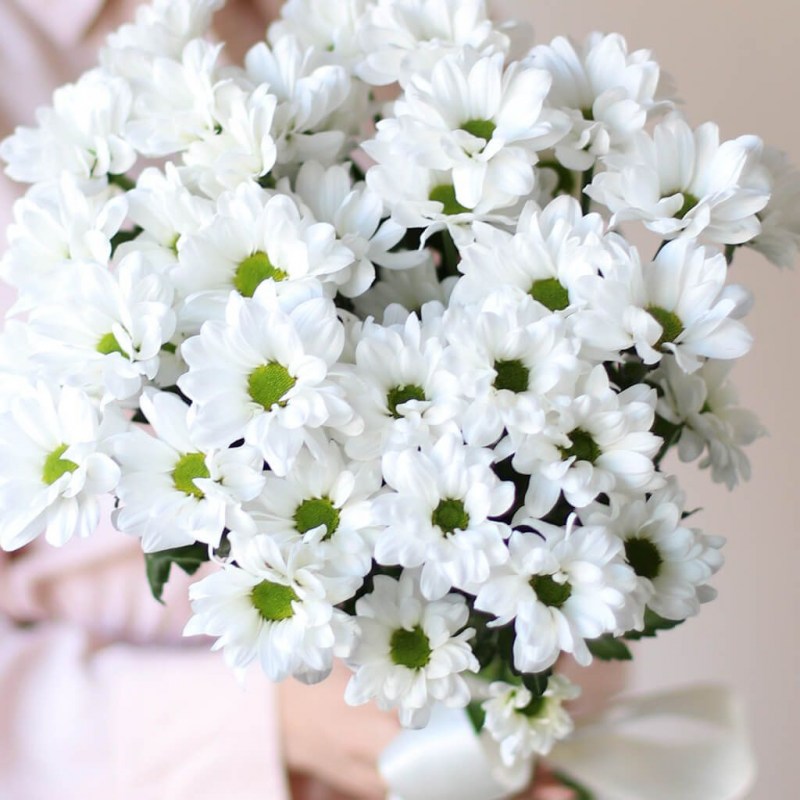 hrizantemy-romashkovye-v-lentu-5-sht-№1012-1