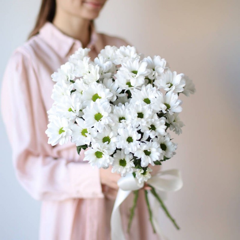 Недорогая хризантема Кишинев