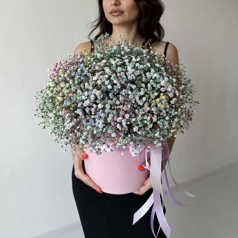 Гипсофила Кишинев