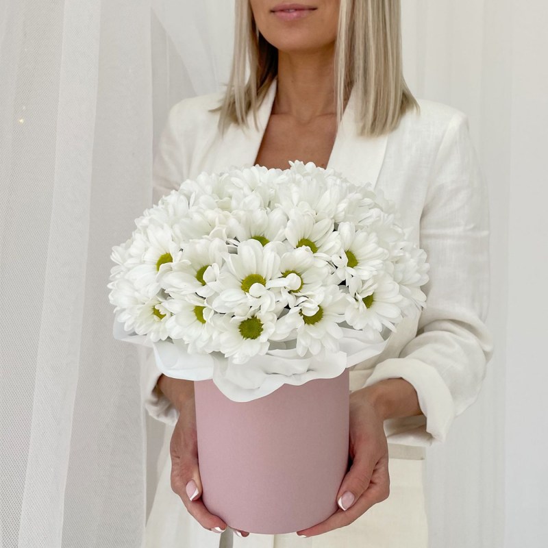 Хризантема Кишинев