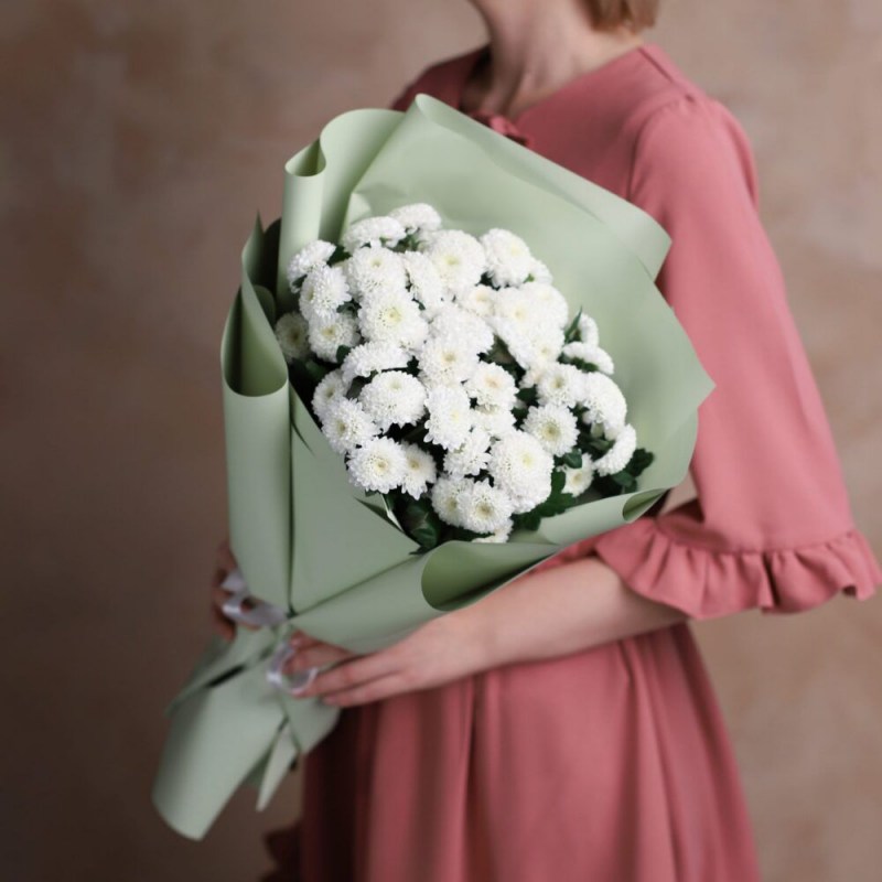 Хризантема Кишинев