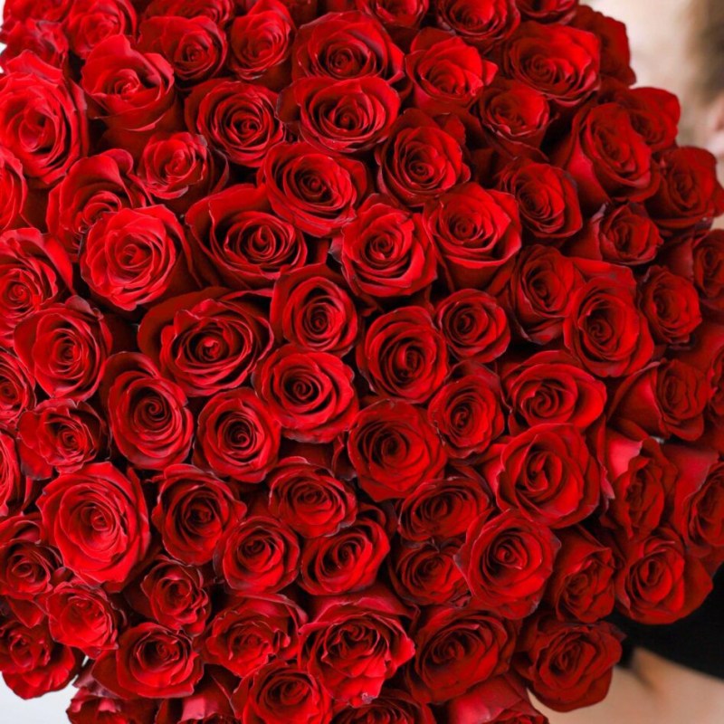 img_8614-min_optimized-scaled-e1625759390270