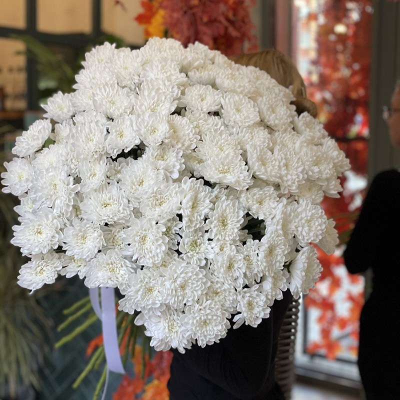 Нет заданного изображения 