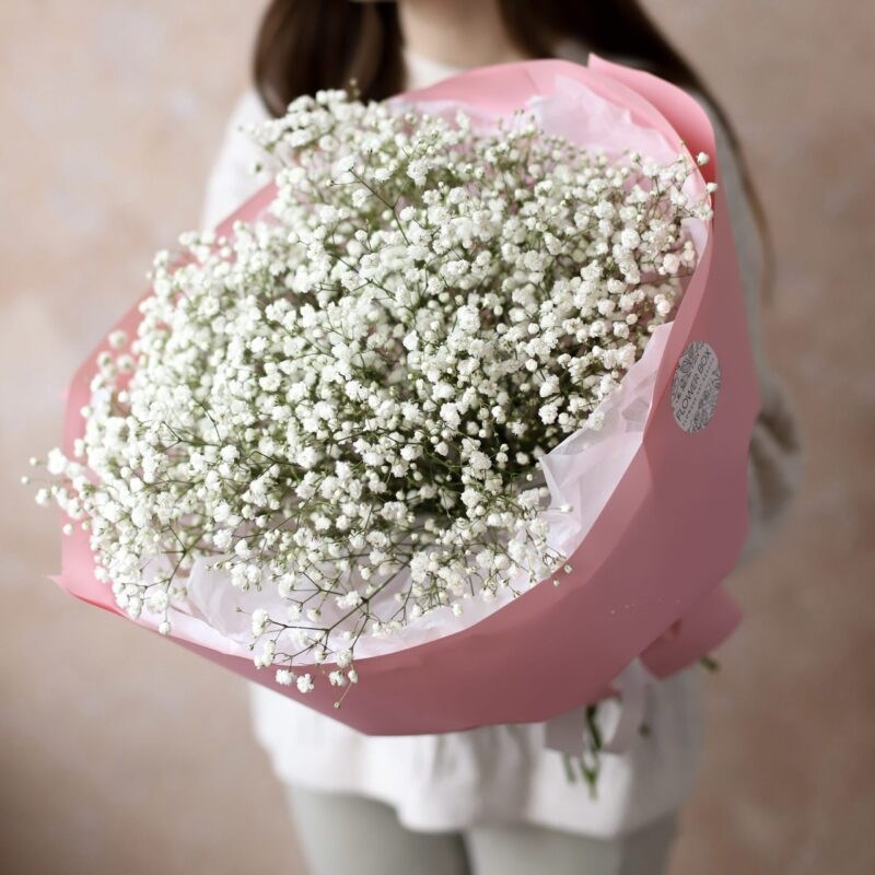 Гипсофила Кишинев