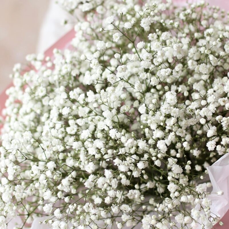 monobuket-iz-beloj-gipsofily-7-sht-№1234-e1640177793865