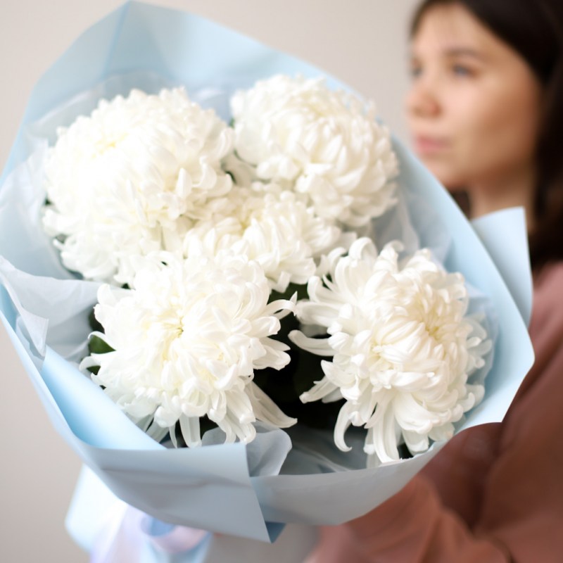monobuket-iz-belyh-hrizantem-5-sht-№1465-1