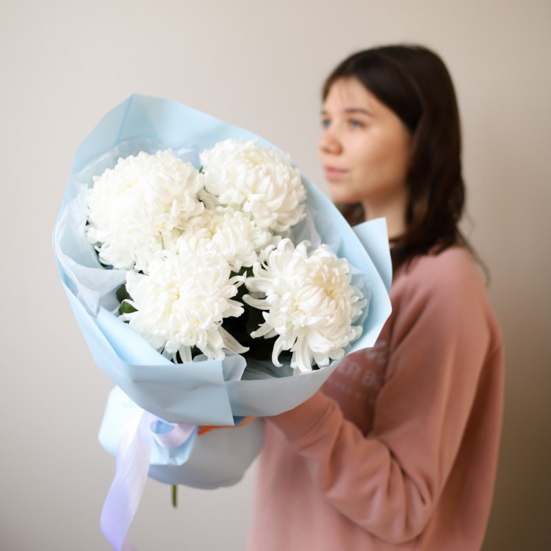 Купить хризантему в Кишиневе