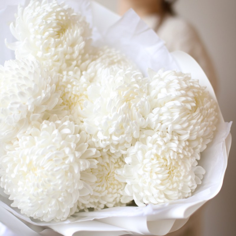 monobuket-iz-belyh-hrizantem-7-sht-№1466-2