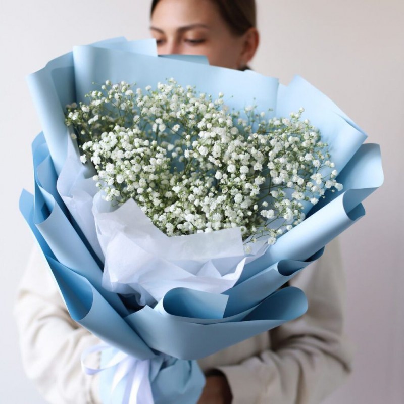 гипсофилы белые