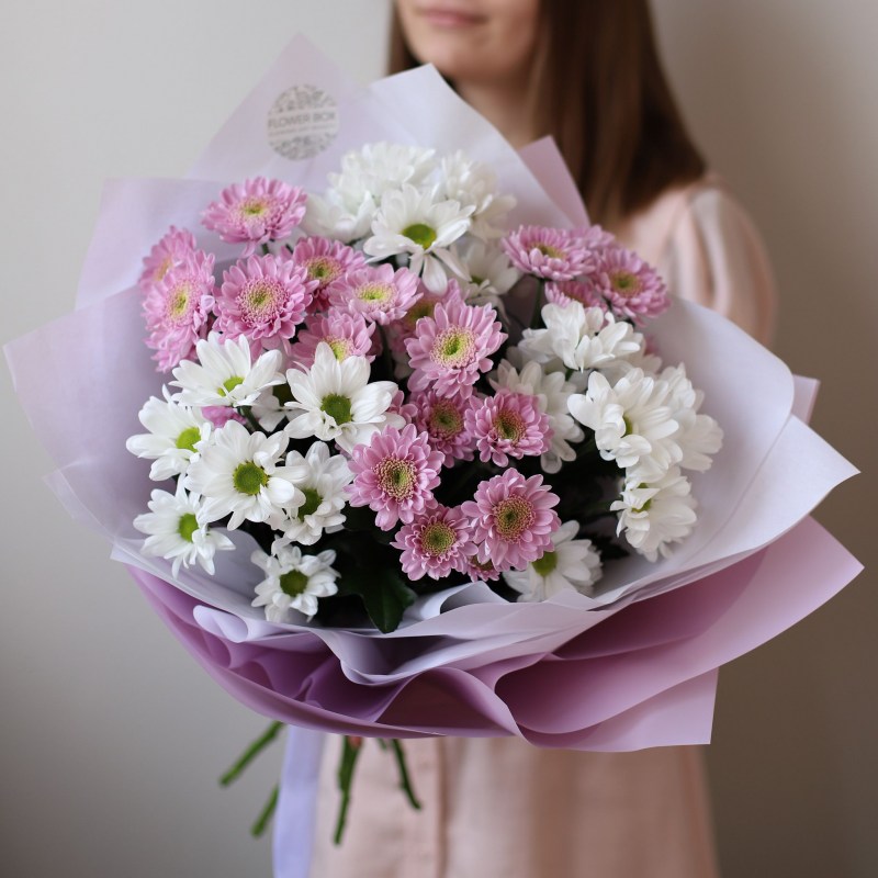 Хризантема Кишинев