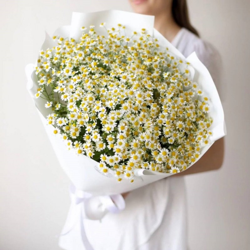 Нет заданного изображения 