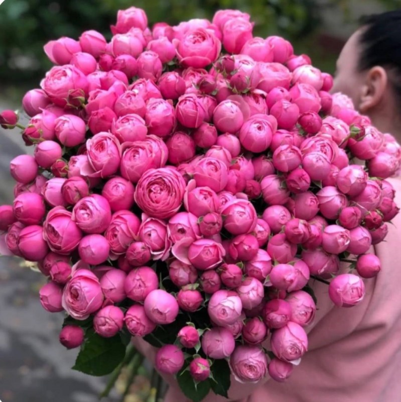 Нет заданного изображения 