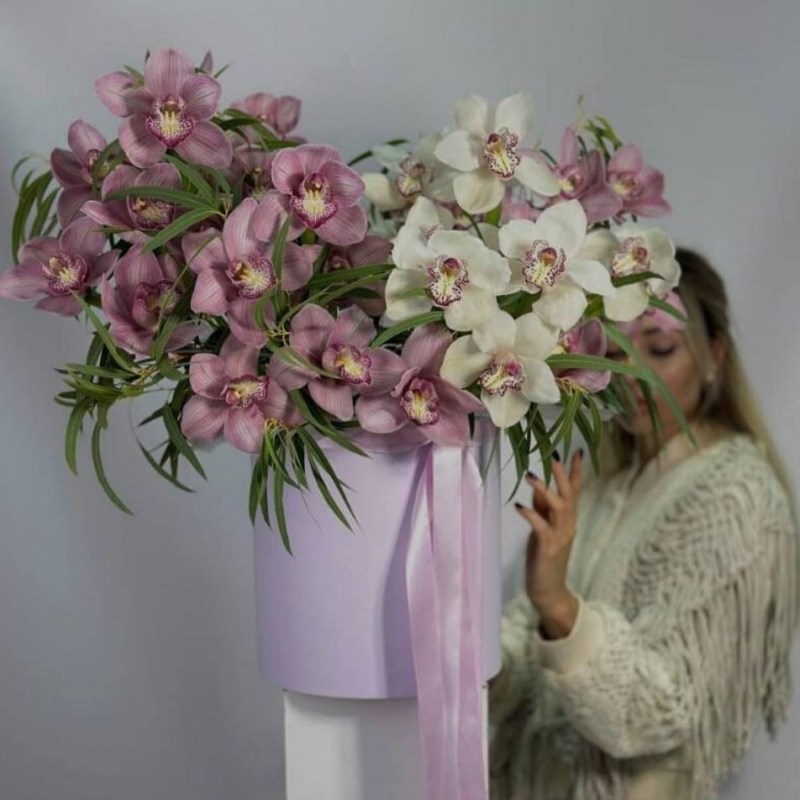 Нет заданного изображения 