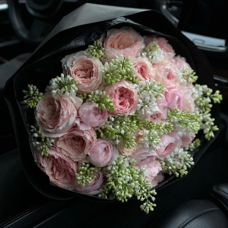 Нет заданного изображения 