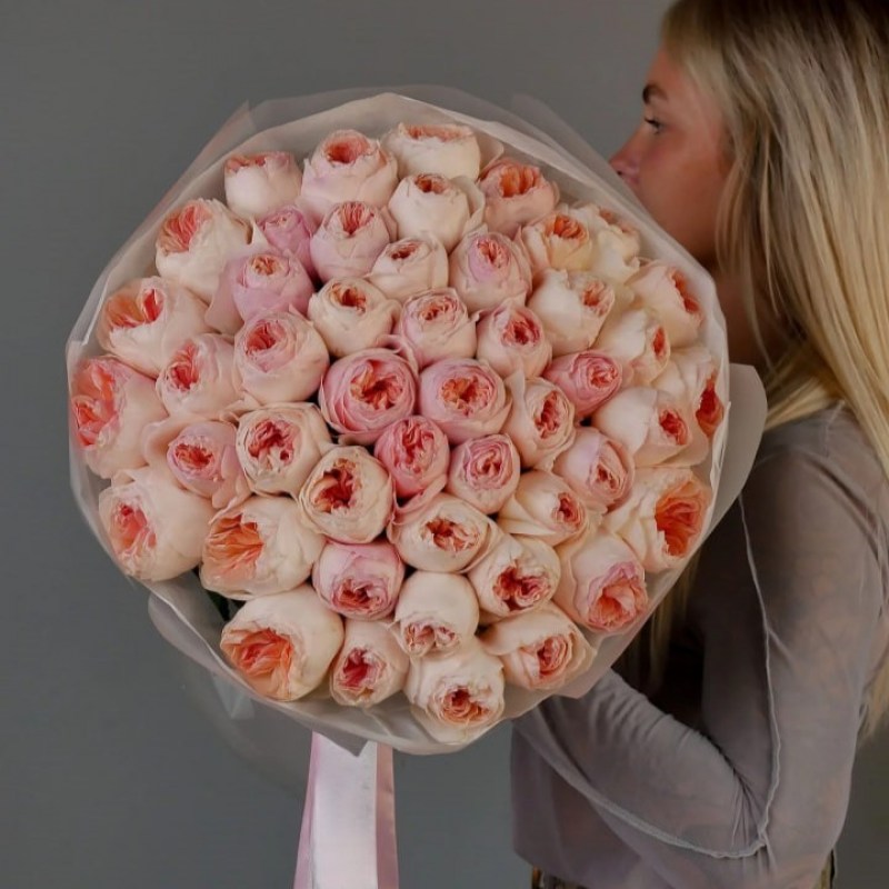 Нет заданного изображения 