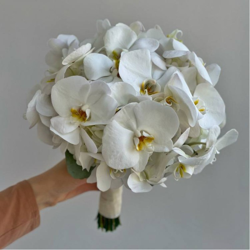 Нет заданного изображения 