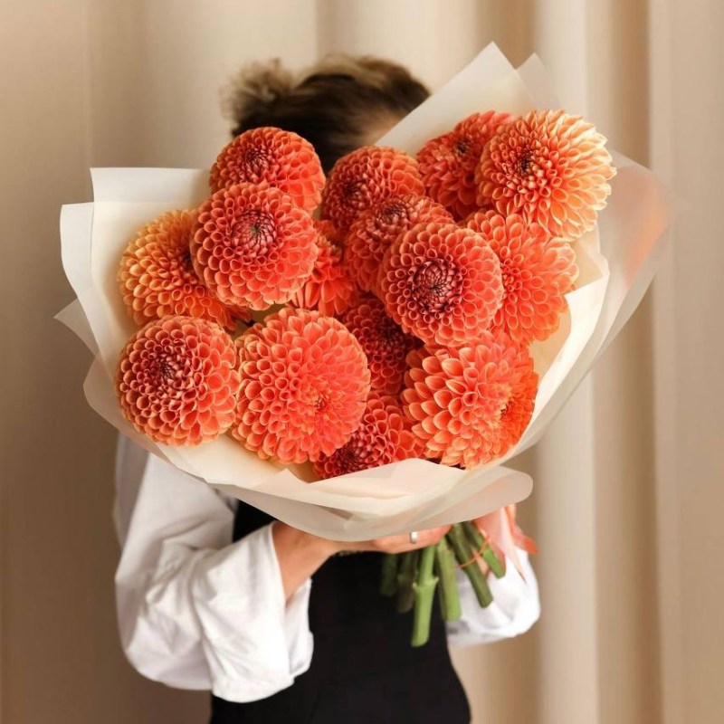 Нет заданного изображения 