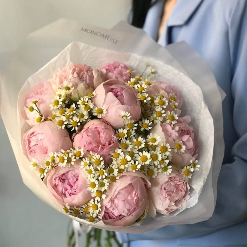 Нет заданного изображения 